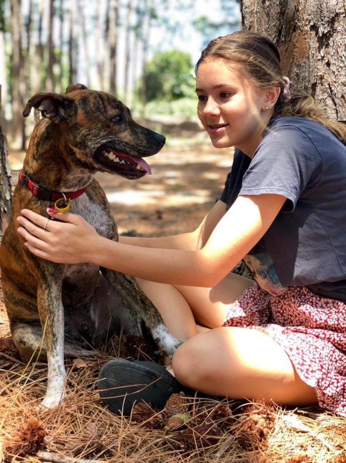 Homestay Beach Escape Magnesium Pool Dog Happy Gc Airport